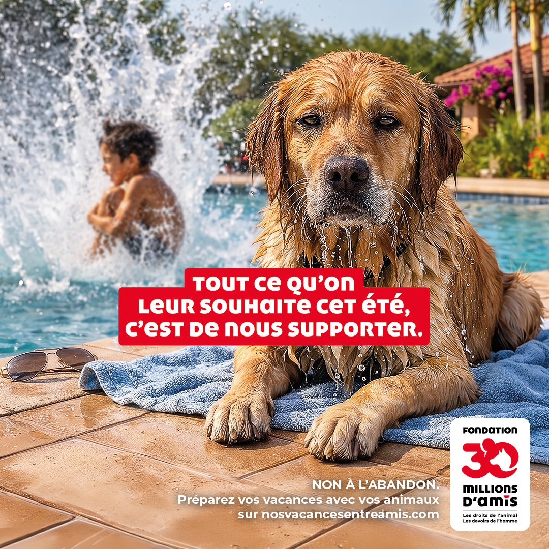 Fondation 30 Millions d’Amis : campagne estivale de sensibilisation 