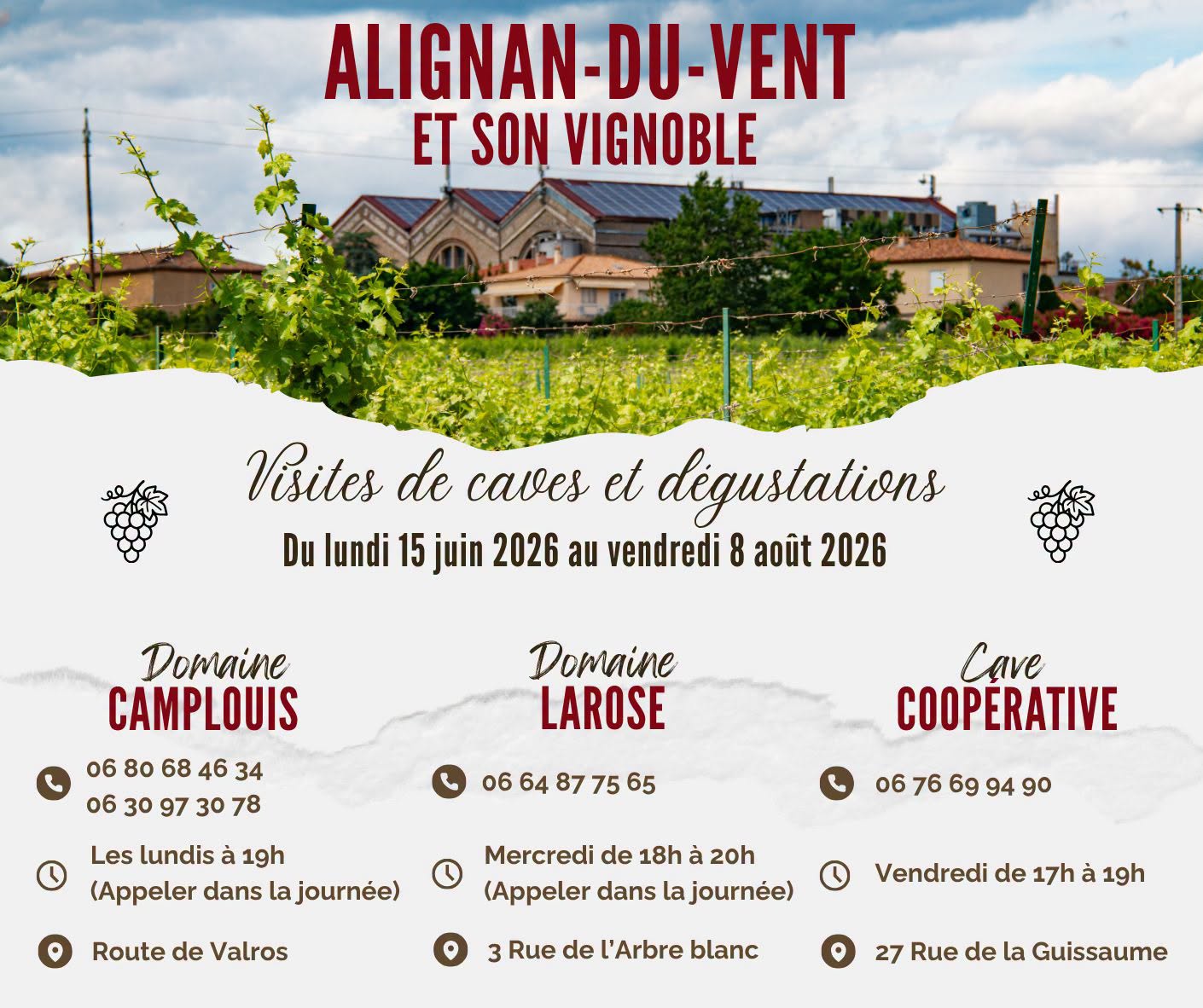 Alignan-du-Vent et son vignoble